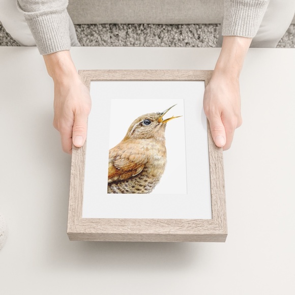Watercolor Wall Art Wren Bird Illustration Print Poster Unframed - Picture 5 of 9